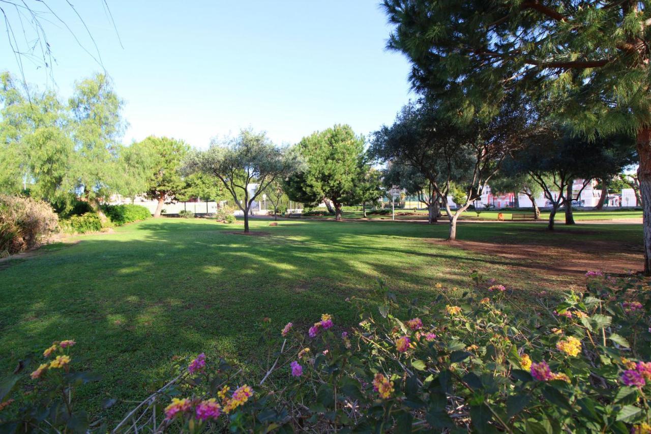Global Properties, Apartamento Con Piscina Y Terraza En Canet Playa Canet d'En Berenguer Екстер'єр фото